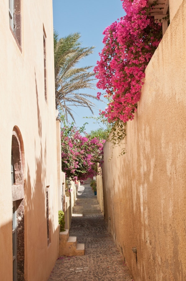 Santorini Alley Bliss 1