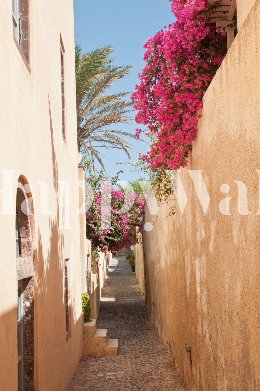 Santorini Alley Bliss 1 med blommor