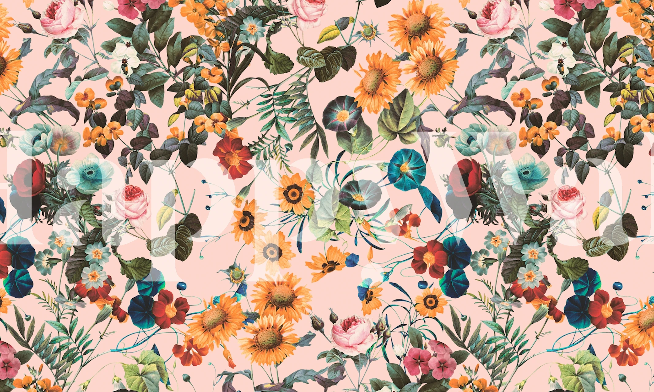 Colorful floral design with bright flowers on pink background wallpaper