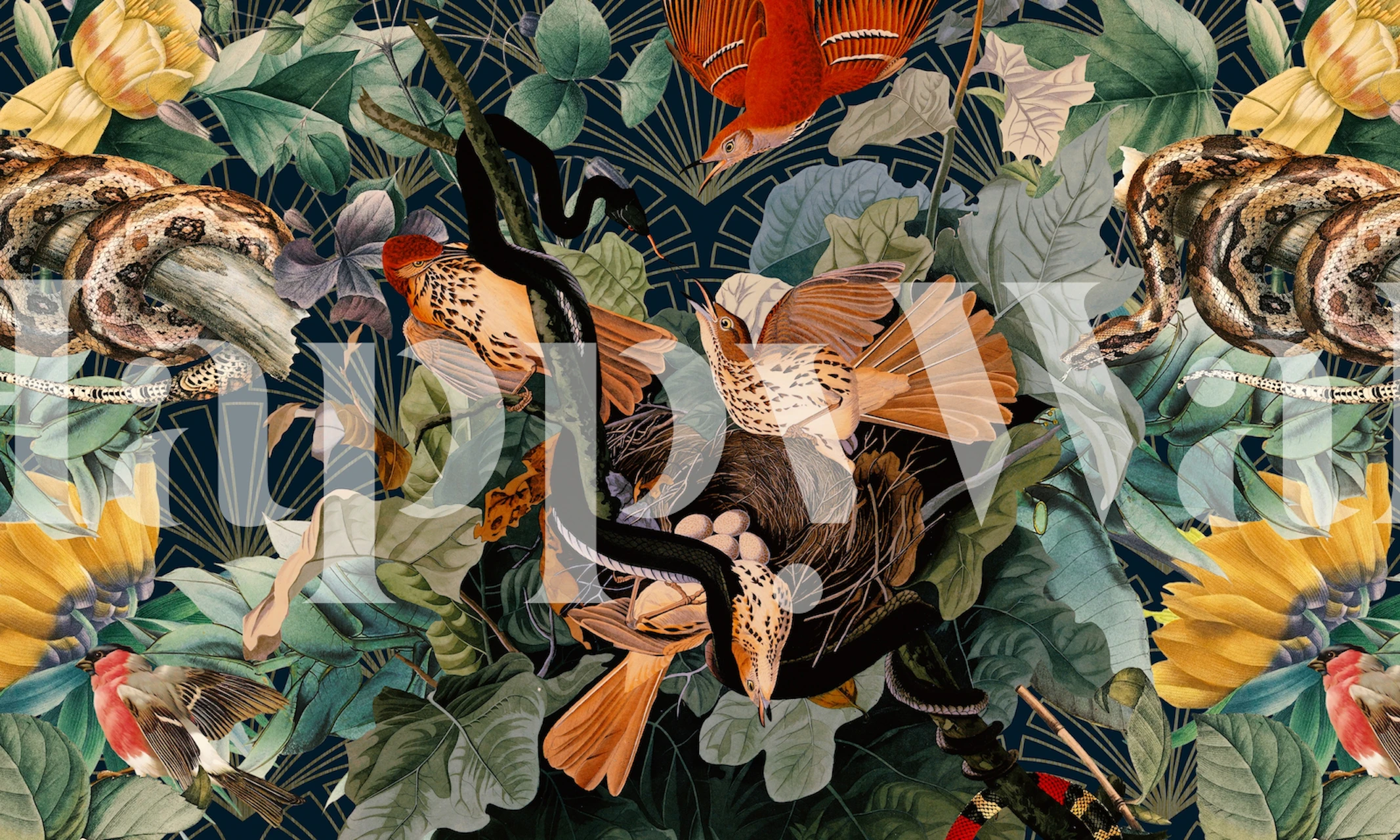 Vibrant wall mural featuring exotic birds and snakes amidst lush greenery