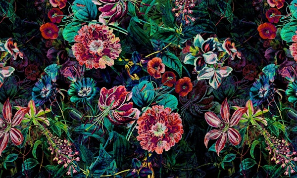 Exotic Garden - Night IX