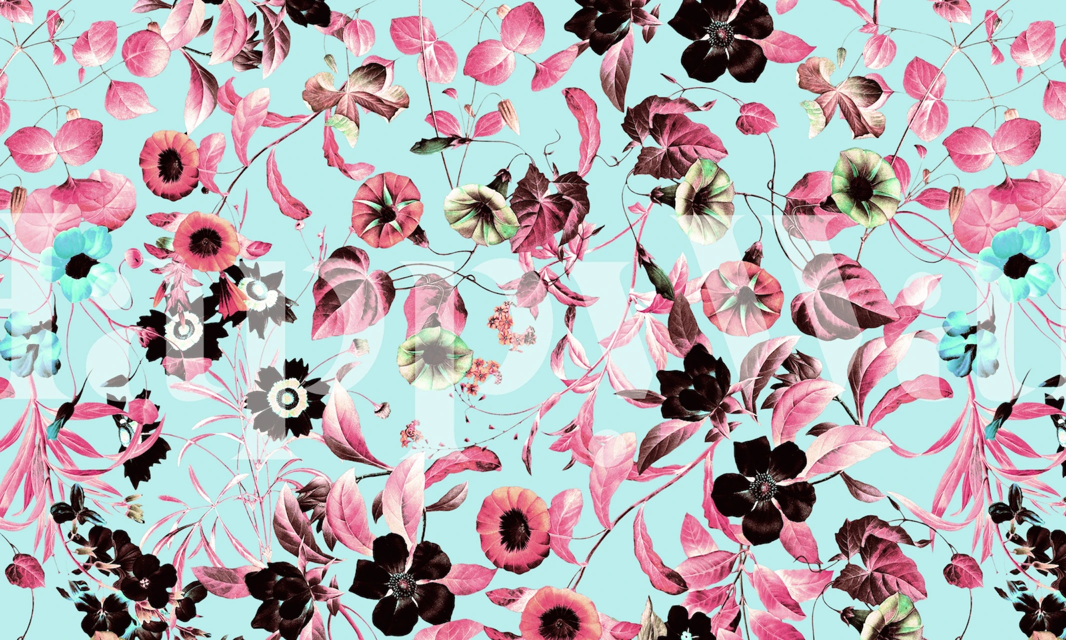 Vibrant pink and black flowers with teal leaves wallpaper