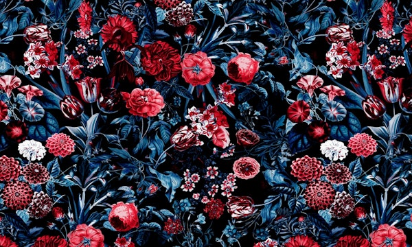 Exotic Garden - Night X