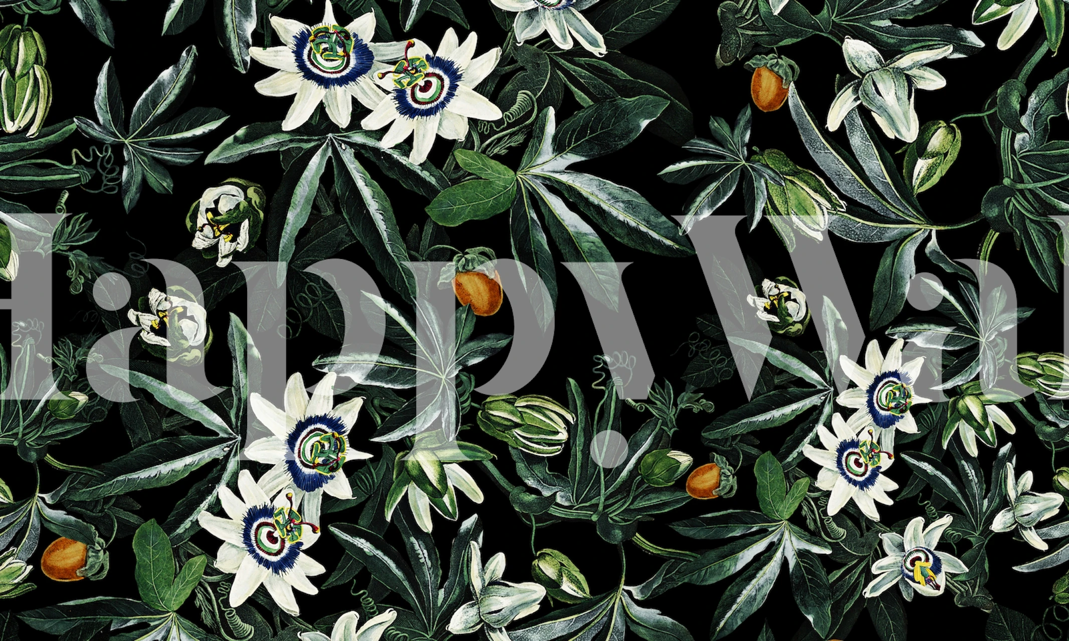 Exotic Garden - Night XI tapeta v pokoji