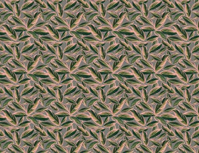 Τοιχογραφία