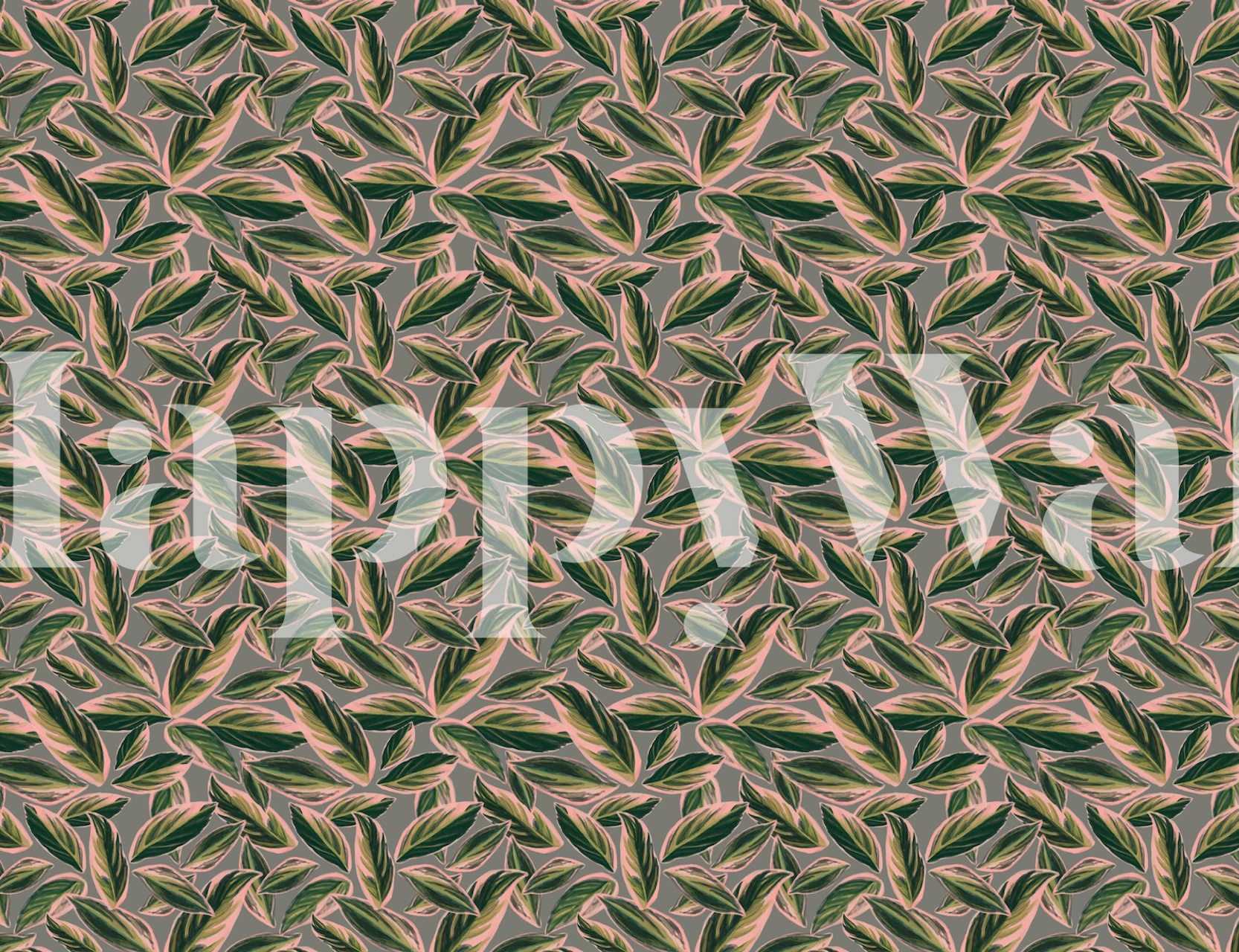 Papier peint Calathea Leaves Pattern dans une pièce