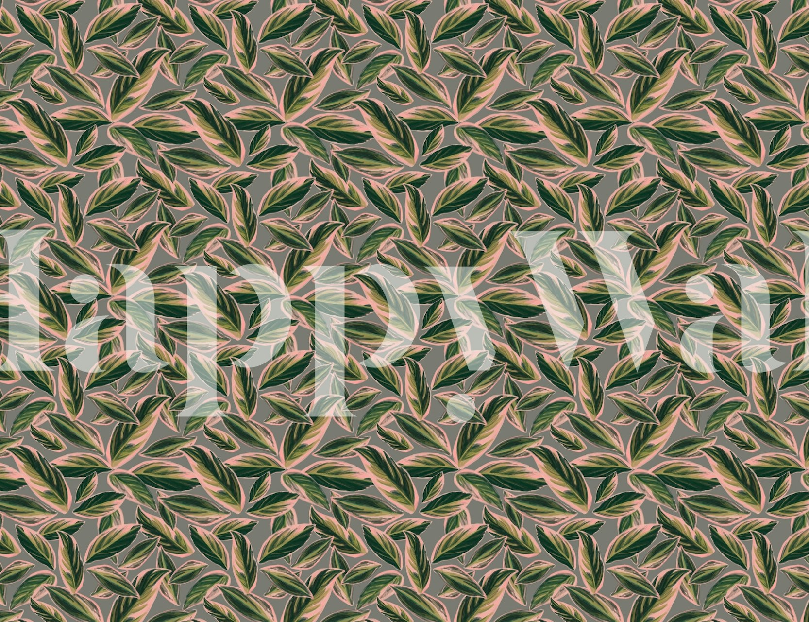 Calathea Leaves Pattern wallpaper in a room