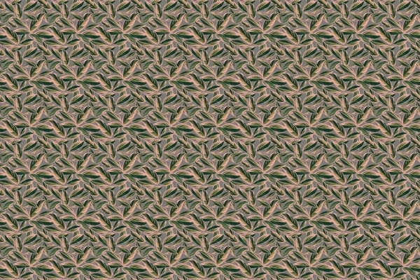 Calathea Leaves Pattern Small