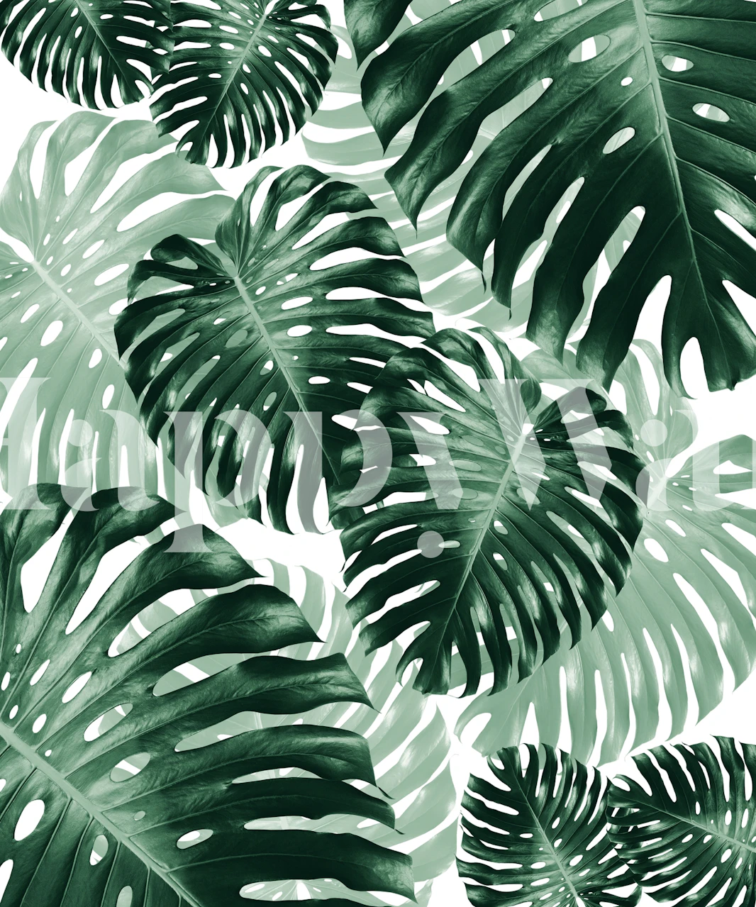 Tropical Monstera Jungle behang in een kamer