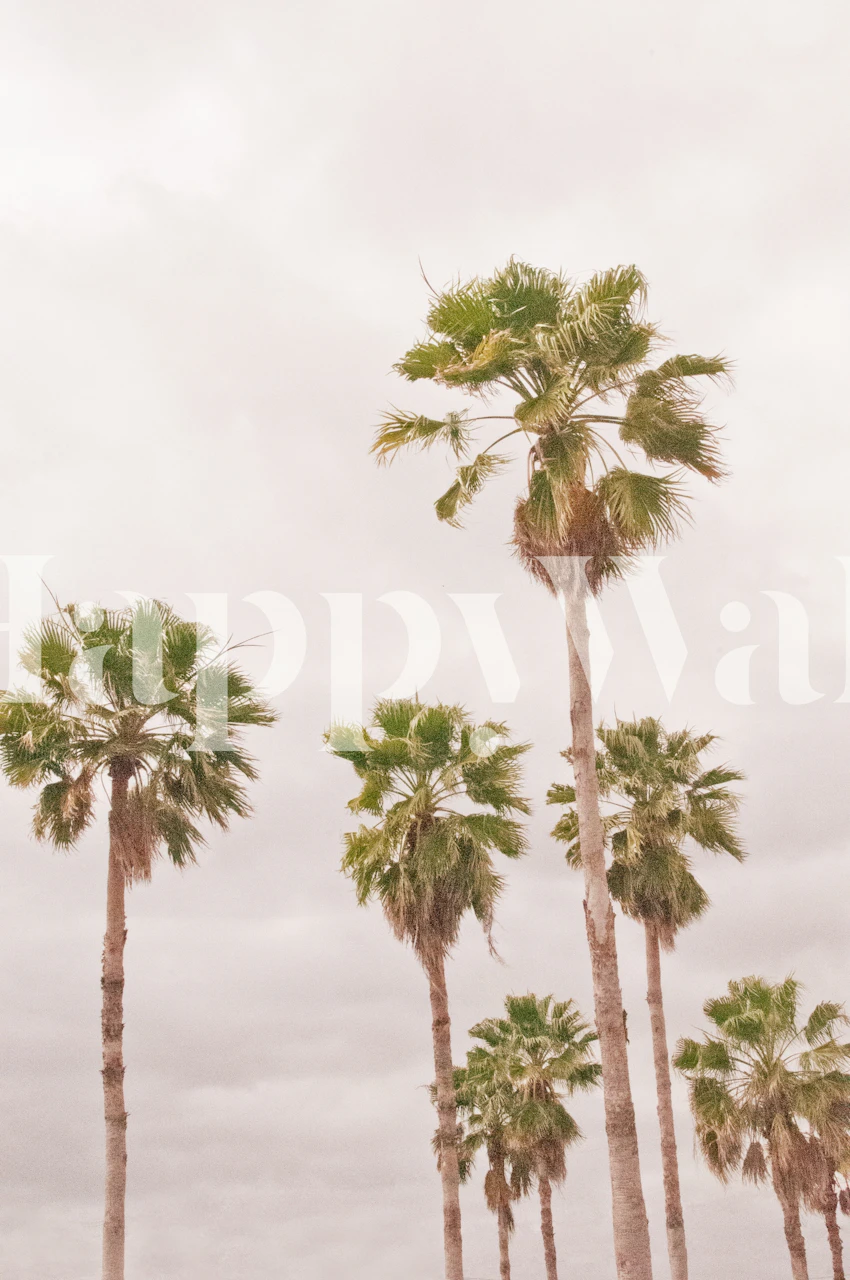 Dushi Palm Trees 1 papel de parede em um quarto moderno