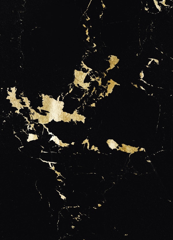 Black Marble Gold Glam 1