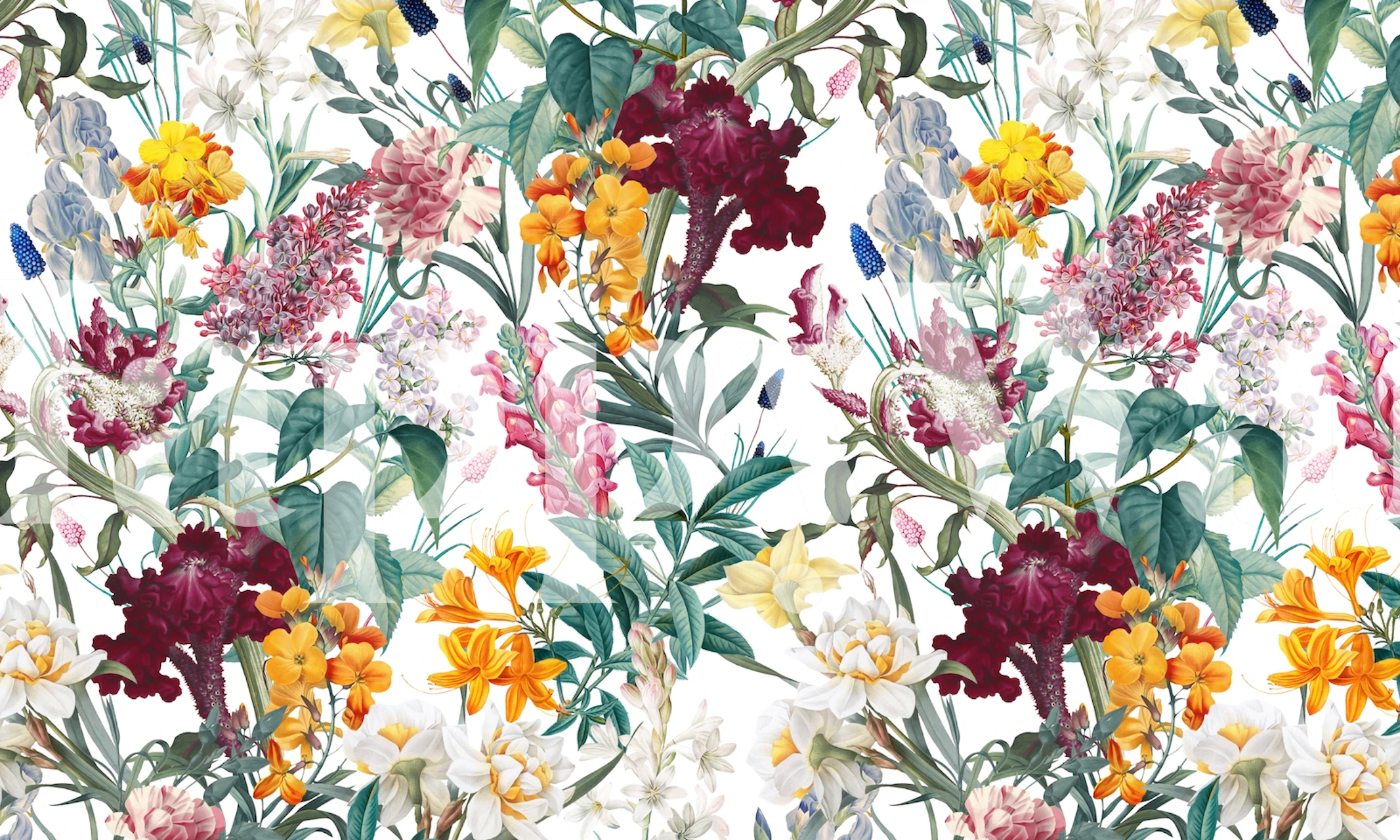 Colorful floral pattern with red, yellow, and white flowers on white wallpaper