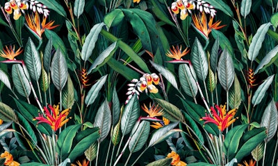 Mural