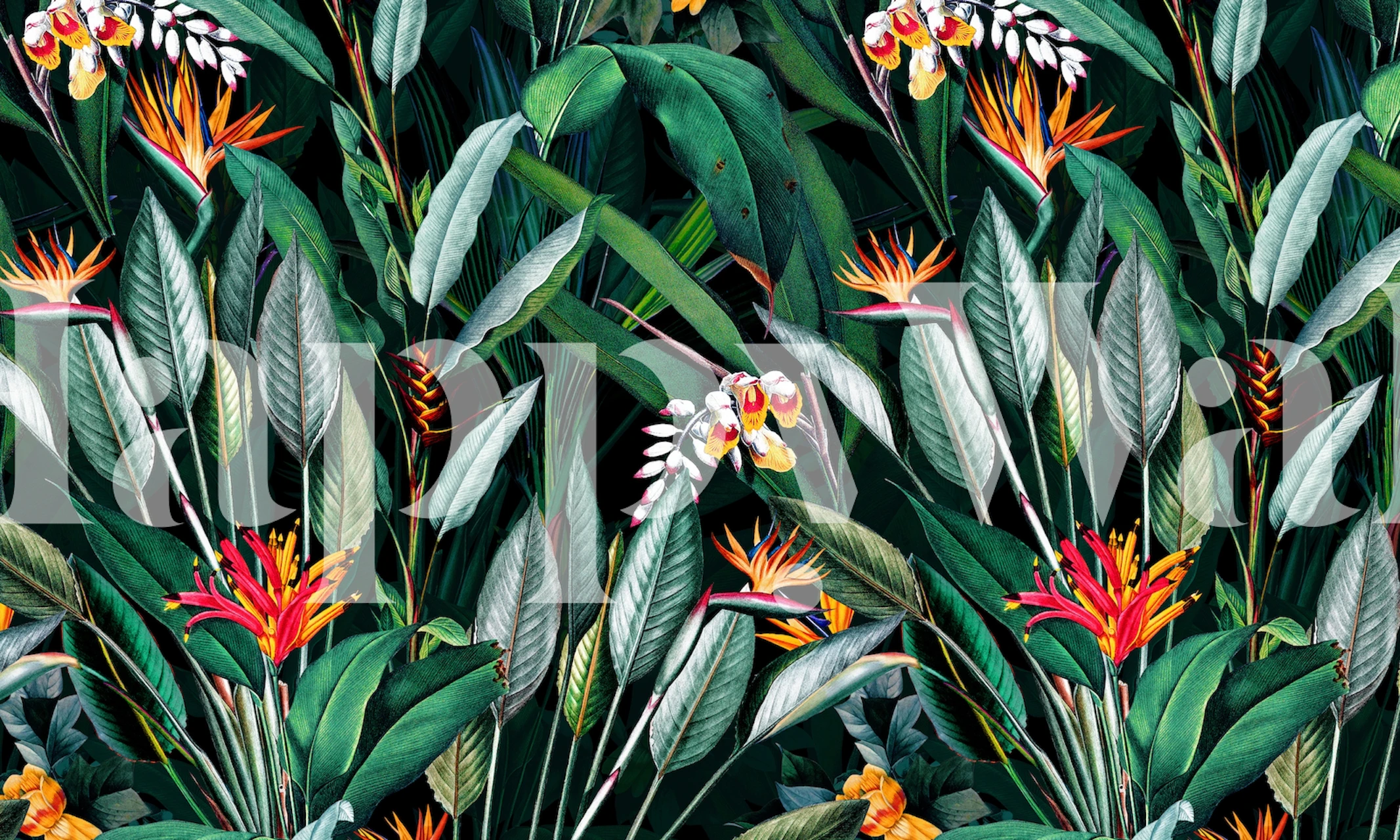 Tropical floral design with vibrant flowers and green leaves wallpaper