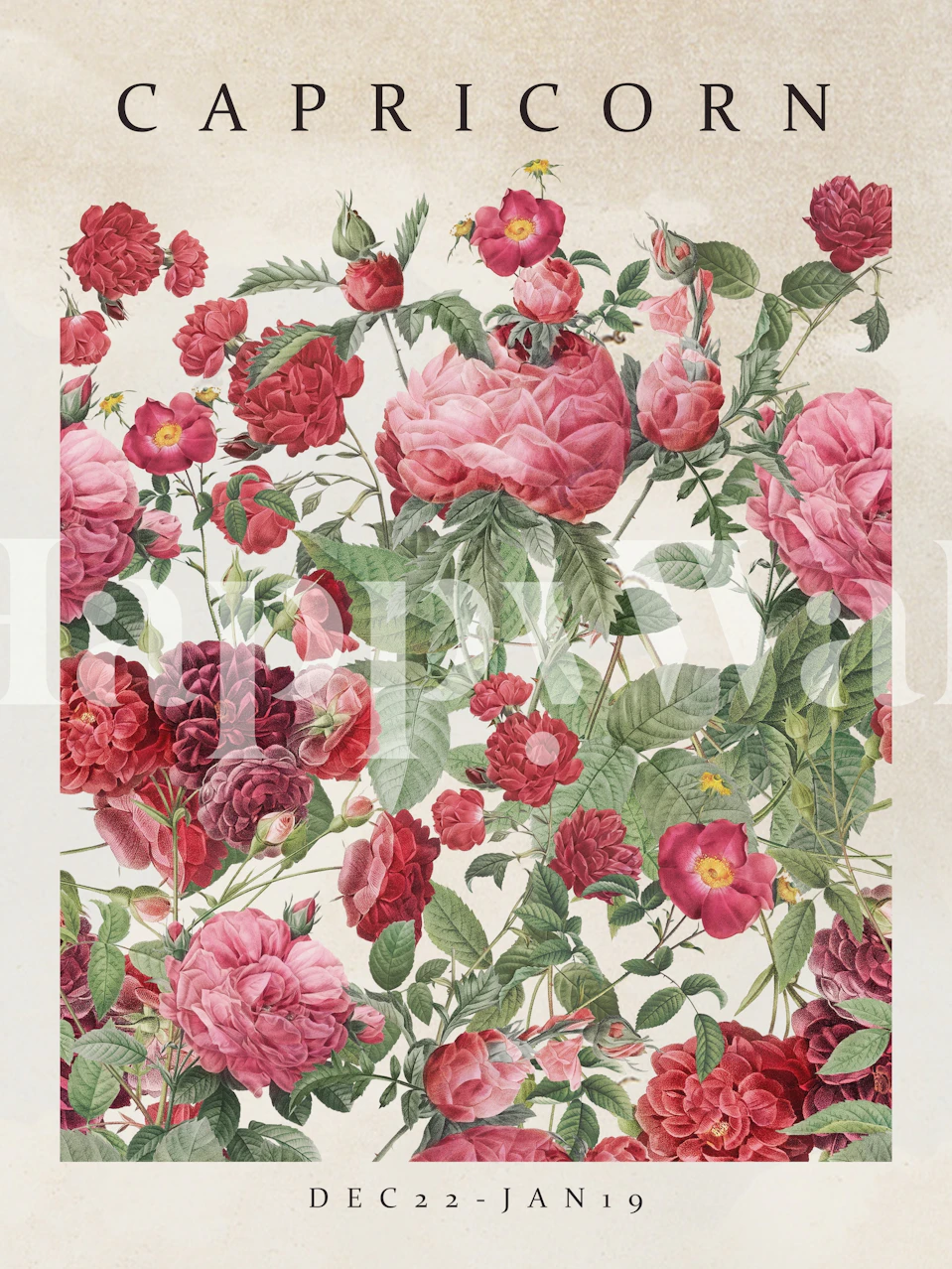 Floral wallpaper with pink roses and green leaves