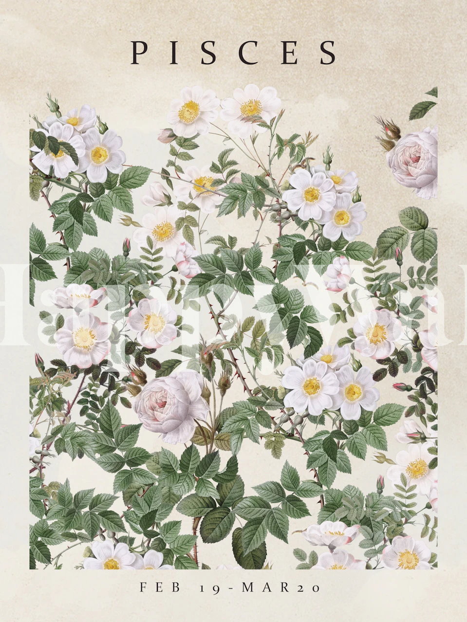 Pisces bloemenbehang in een kamer