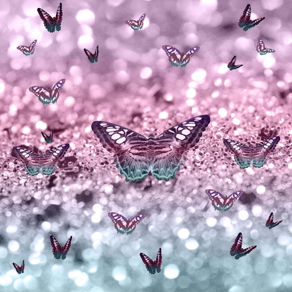 Pastel Unicorn Butterfly 2