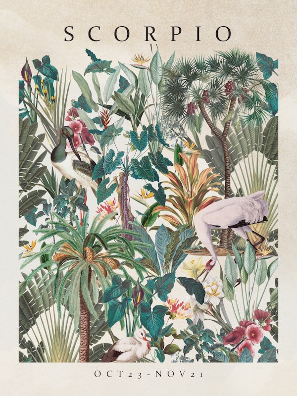 Scorpio