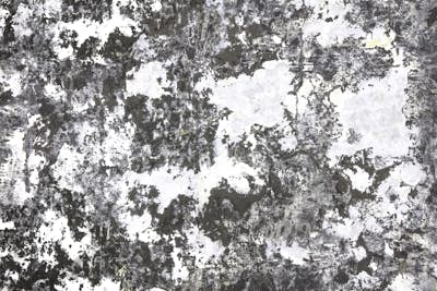 Τοιχογραφία