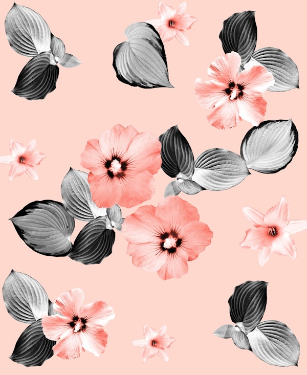 Living Coral Floral Dream 2