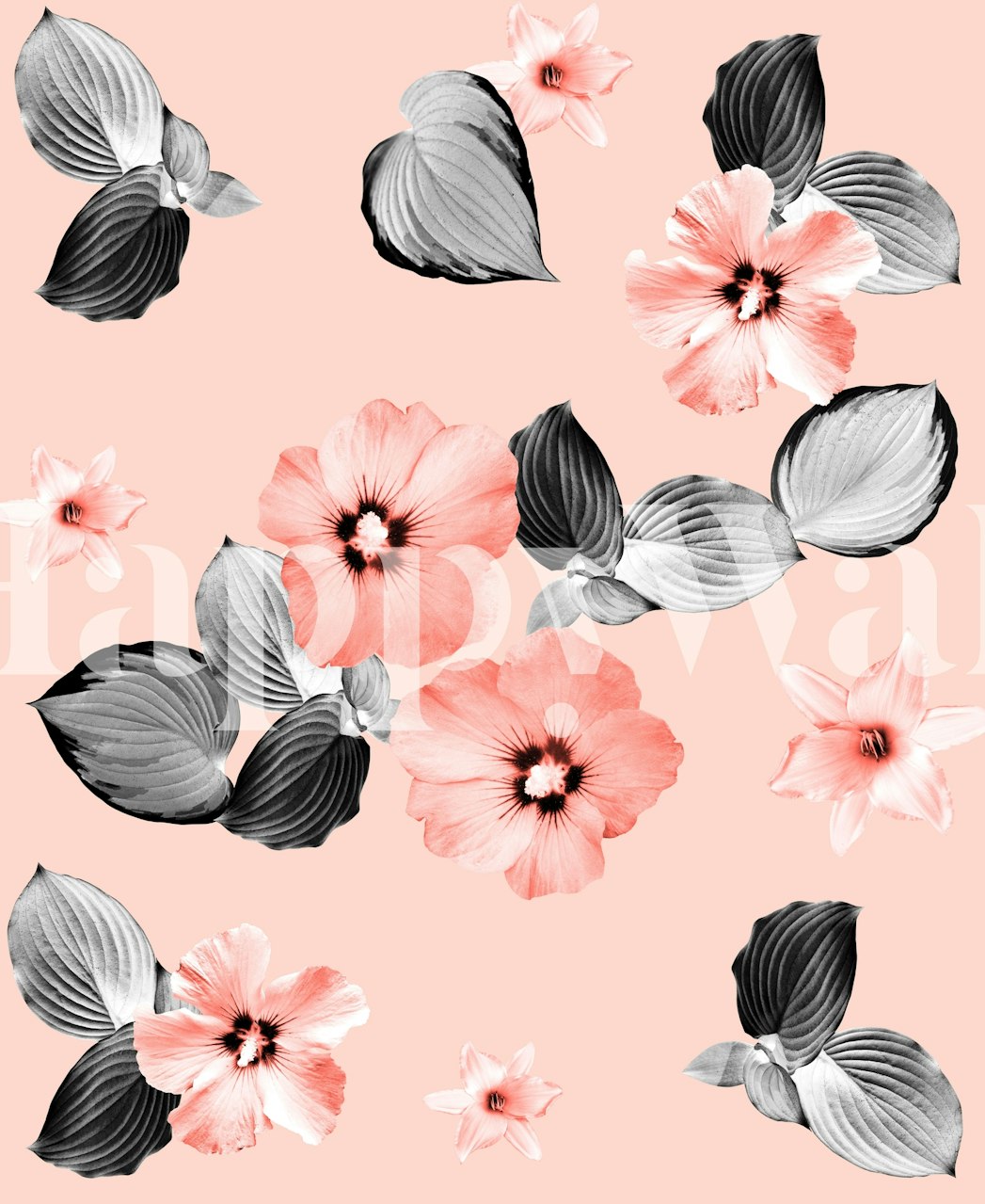 Κοραλί ροζ λουλούδια με σκούρα φύλλα τοιχογραφία τοίχου