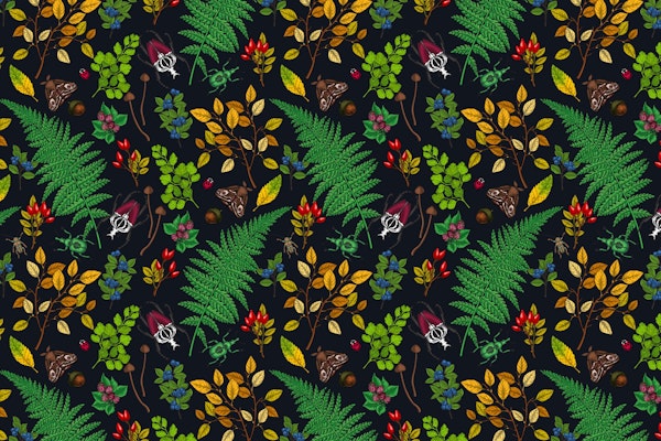 Forest berries and leaves 2