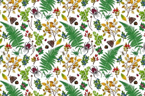 Forest berries and leaves