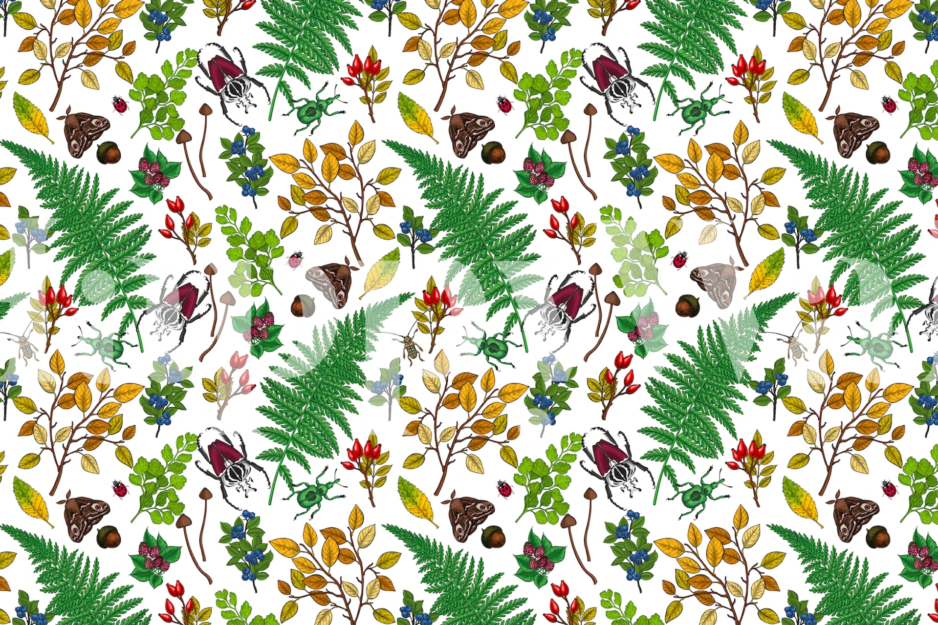 Colorful berries and leaves pattern with ferns wallpaper