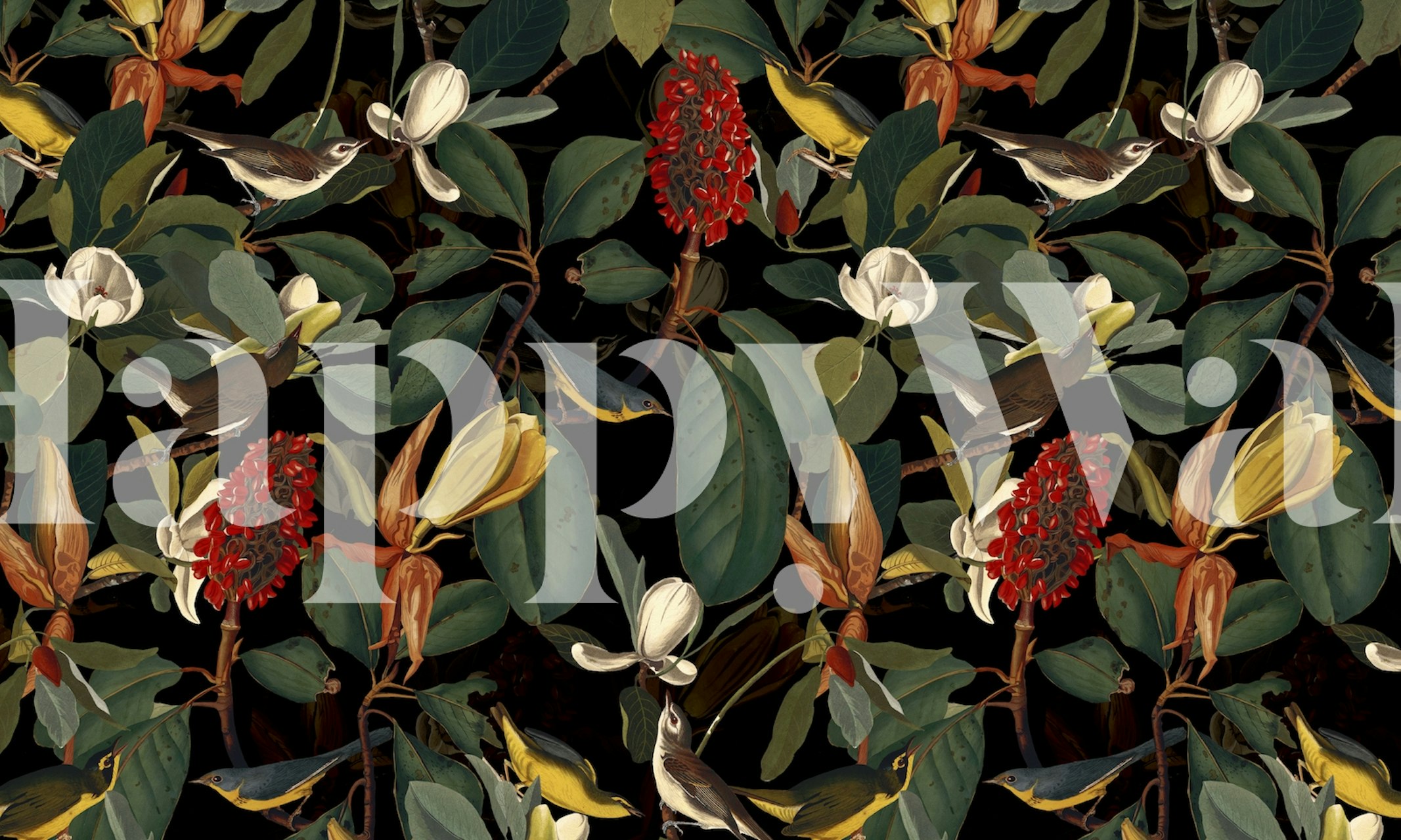 Colorful birds and flowers on a black background wallpaper