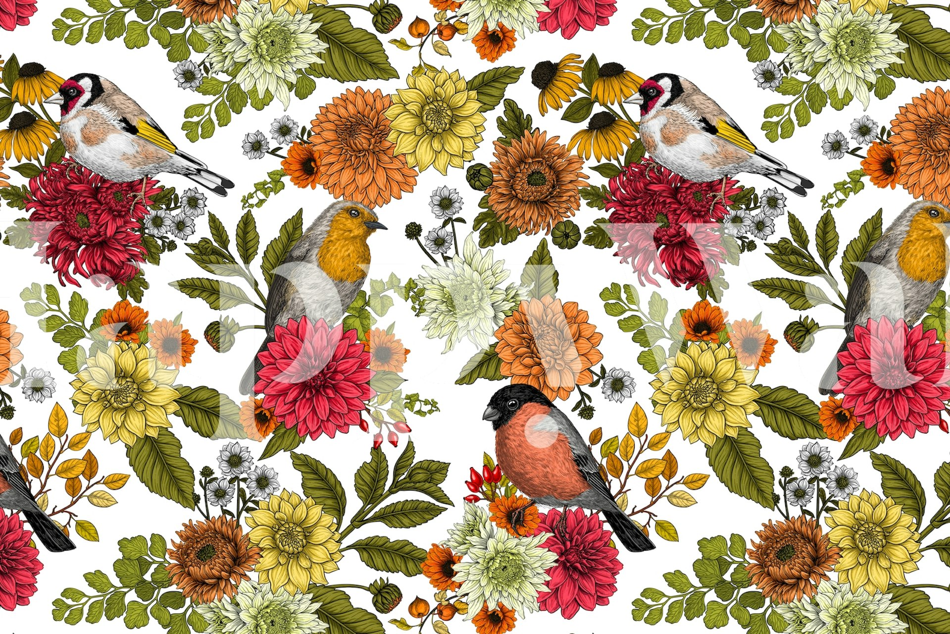 Garden birds and flowers wallpaper in a room