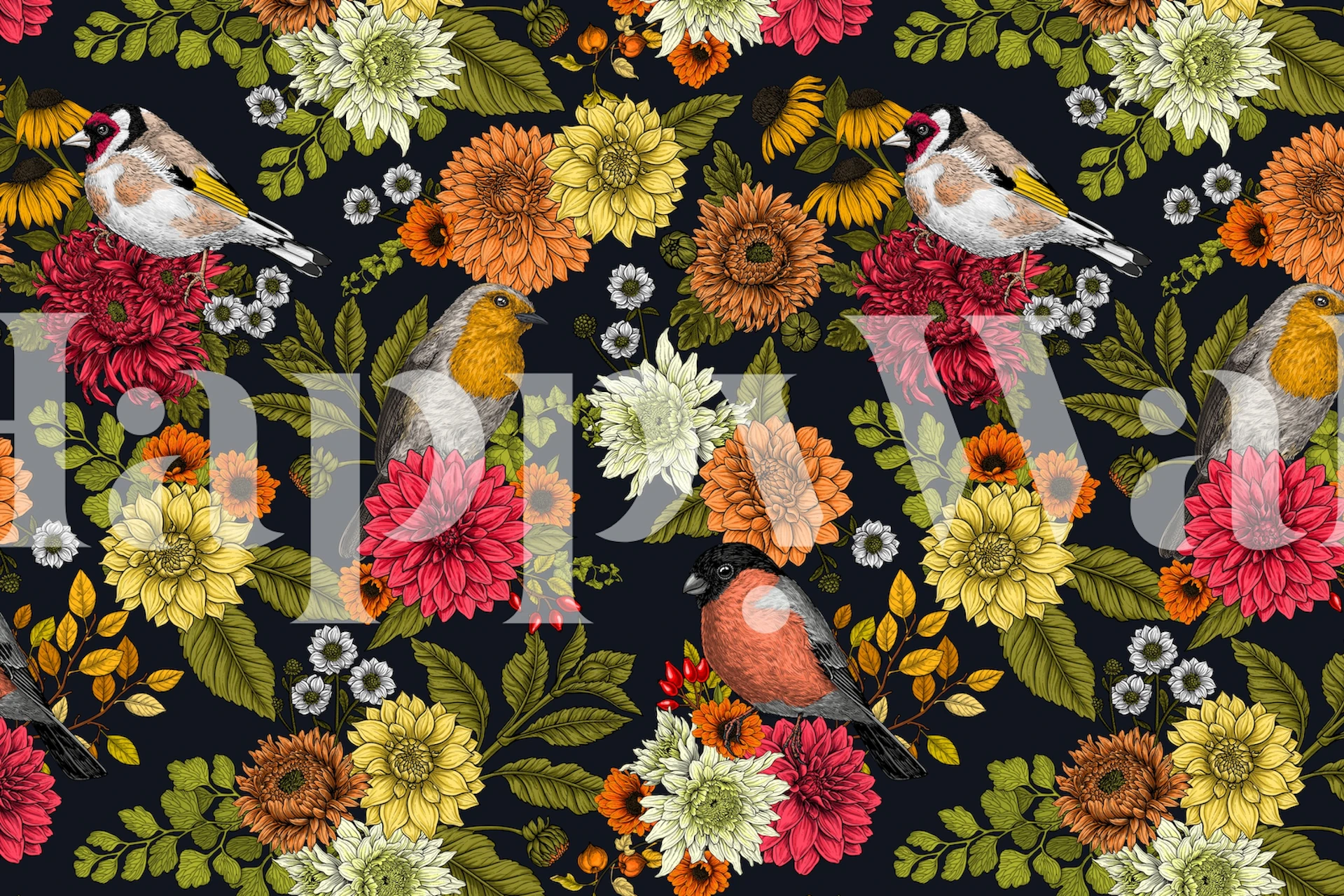 Colorful floral pattern with birds on dark background wallpaper