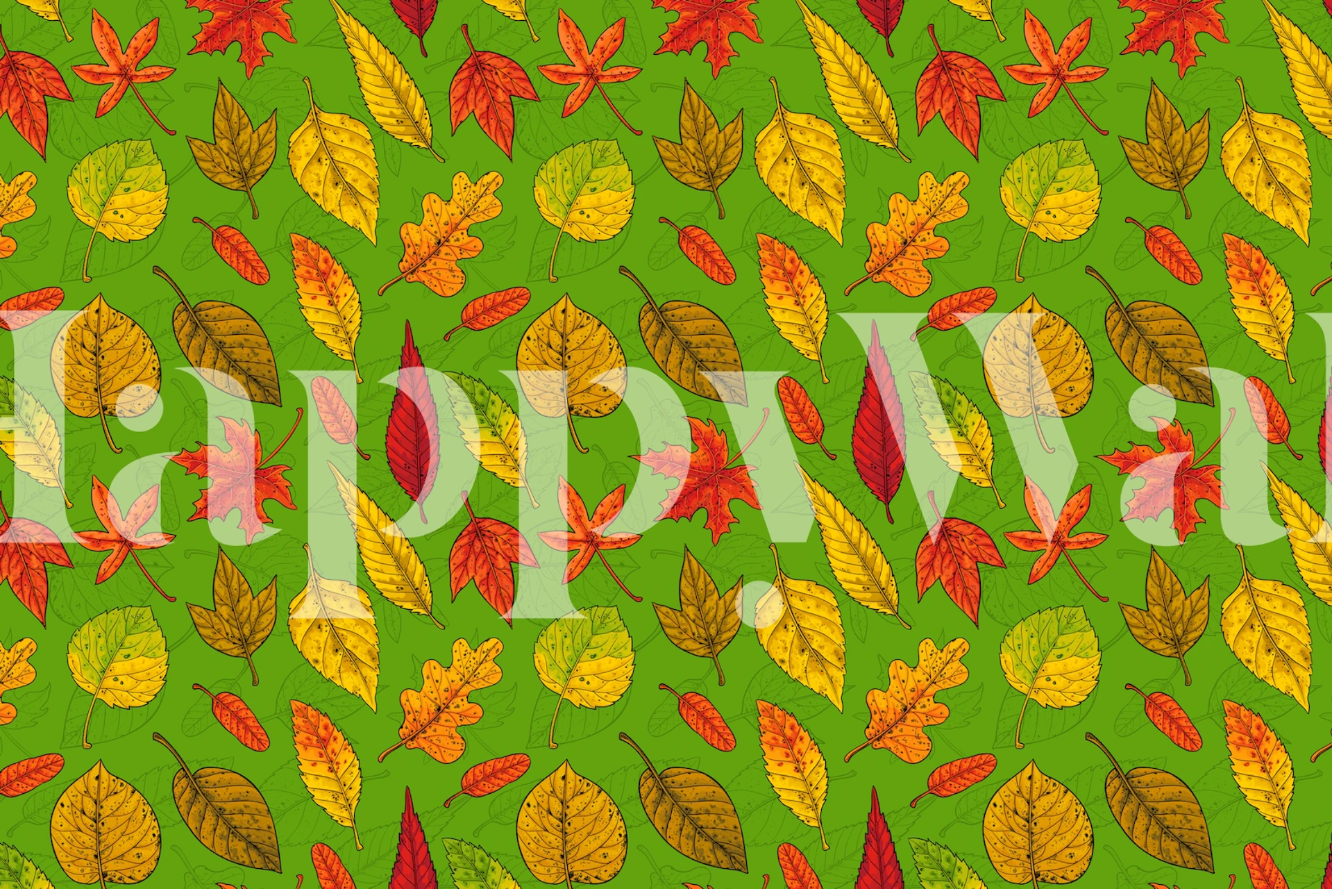 Autumn leaves wallpaper on a green background