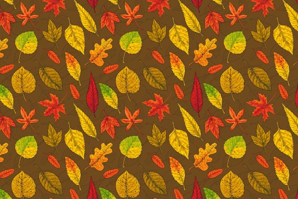 Autumn leaves on brown