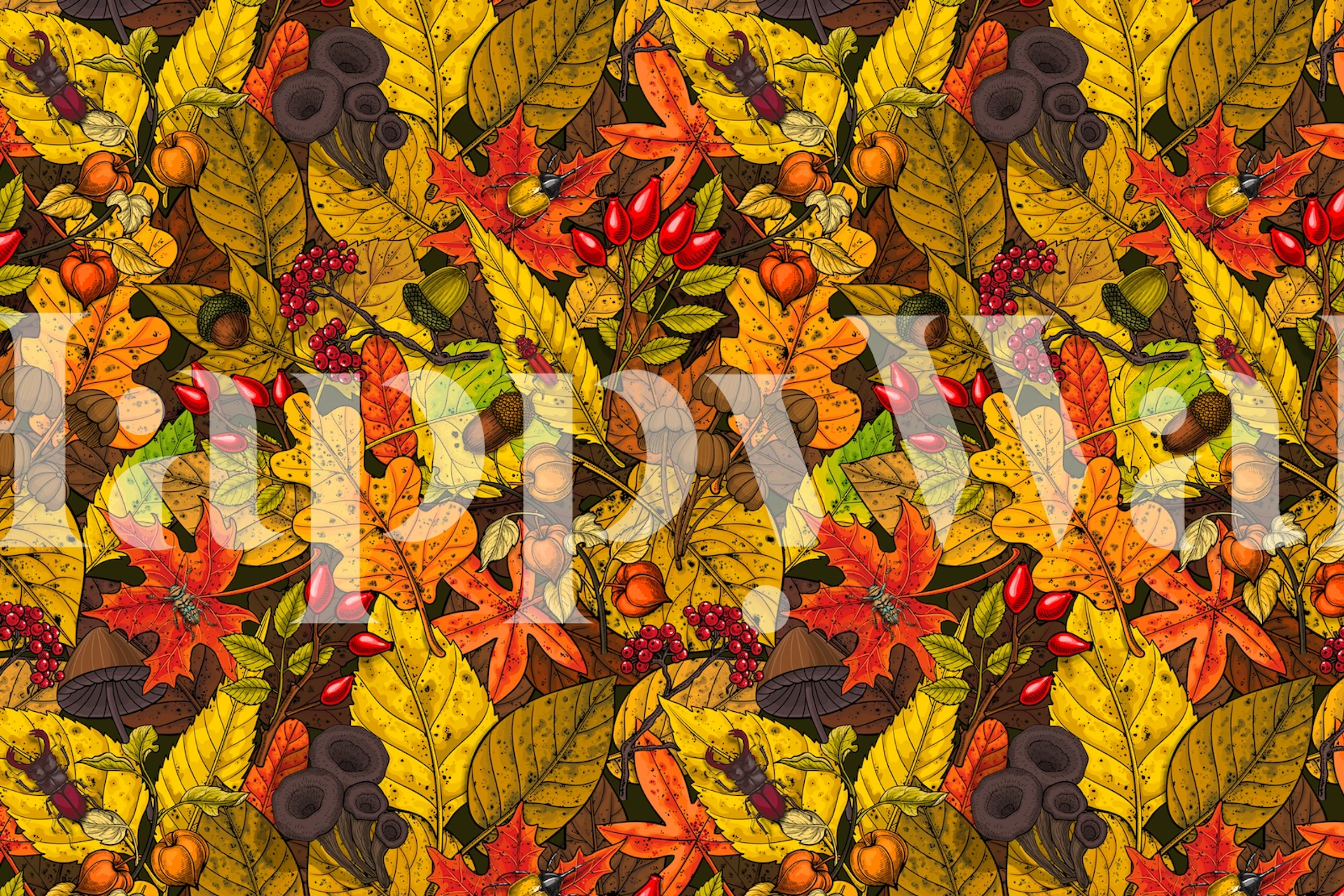 Colorful autumn leaves in orange, yellow, and red wallpaper