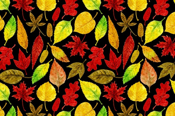 Autumn leaves watercolor dark