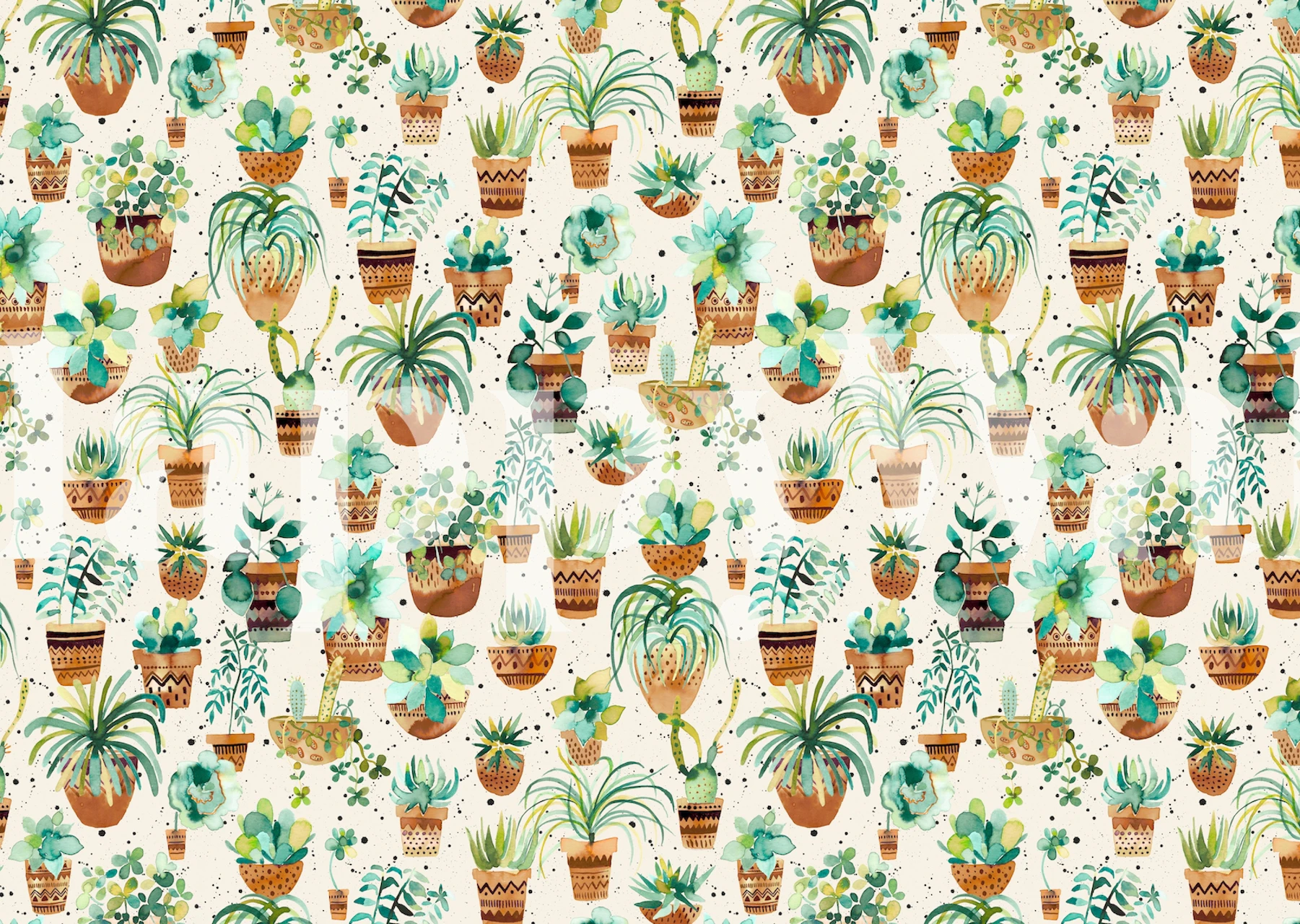 Succulent Home Plants tapet i levende design