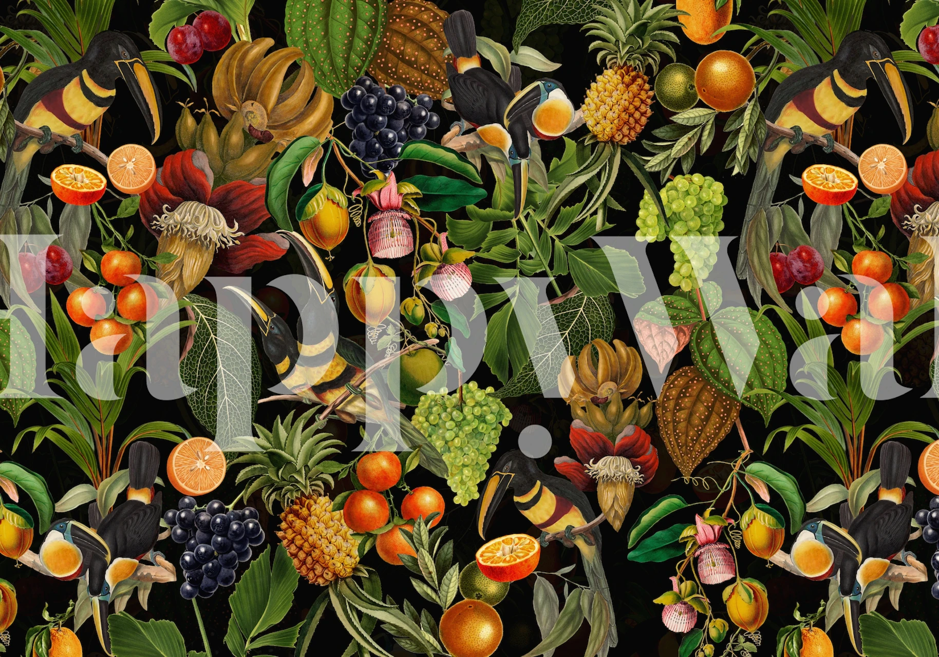 Tropical birds and colorful fruits pattern on black wallpaper