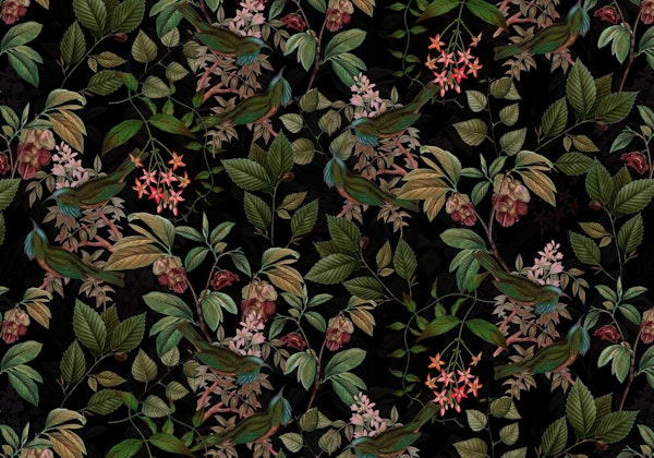 Tropical Bird Jungle Night 9