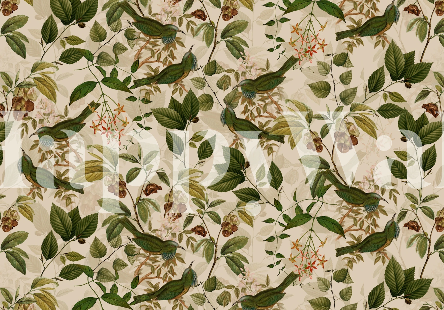 Muurschildering met tropische vogels en bloemmotief