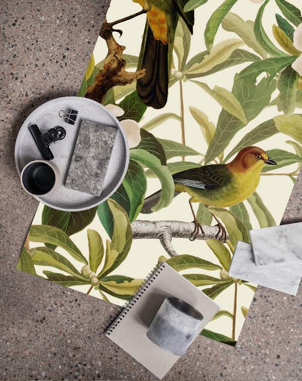 Tropical Bird Night Jungle 17 wallpaper - Happywall