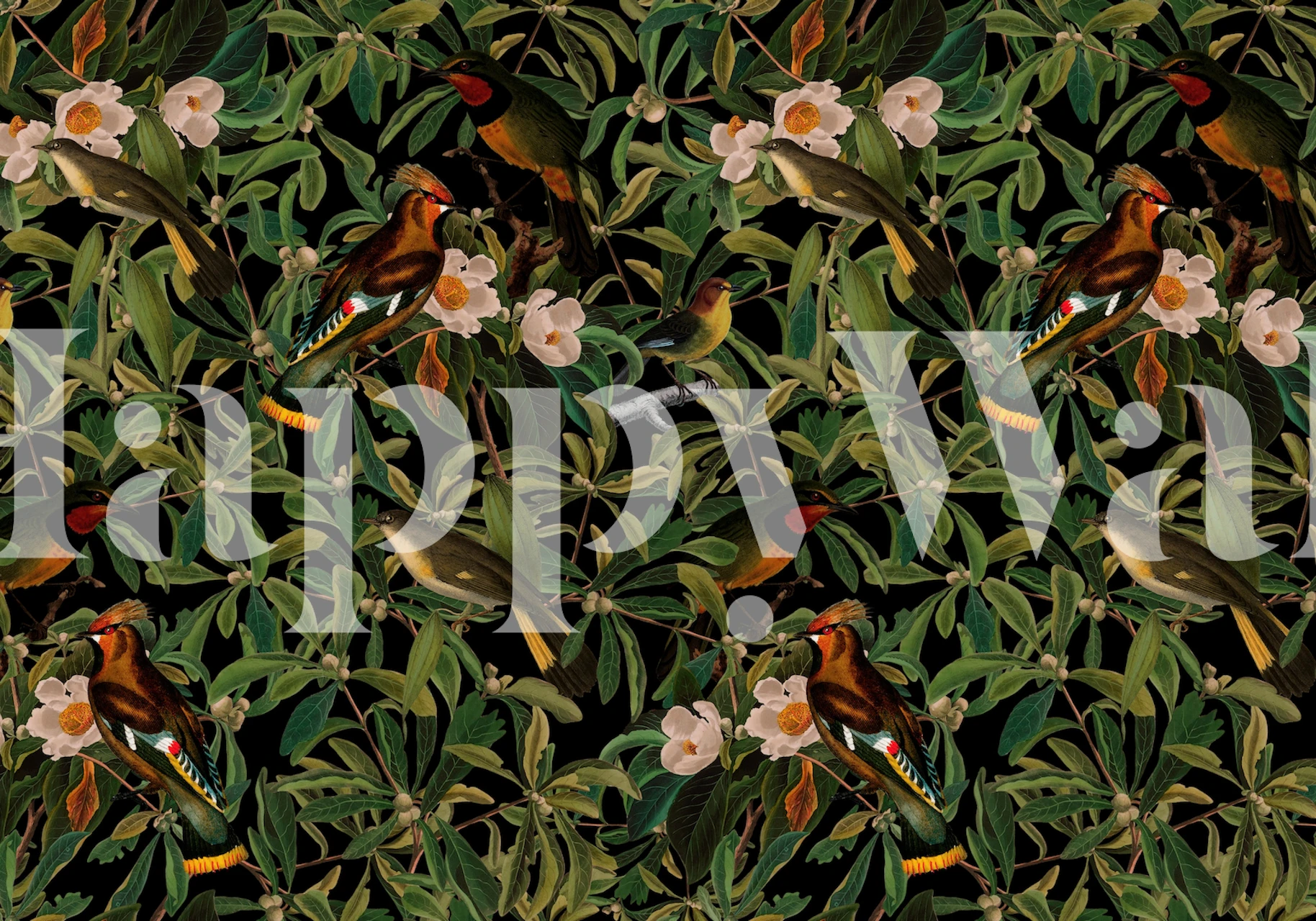 Tropical Bird tapetdesign i et rom