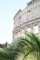 The Colosseum in Rome Palm 1 ταπετσαρία