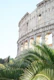 The Colosseum in Rome Palm 1