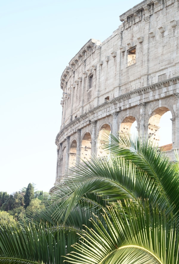 The Colosseum in Rome Palm 1