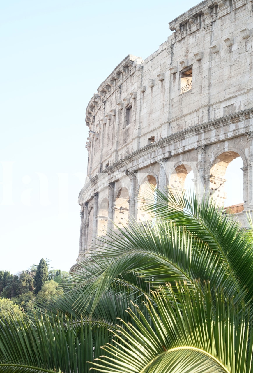 Colisée à Rome avec design de palmier