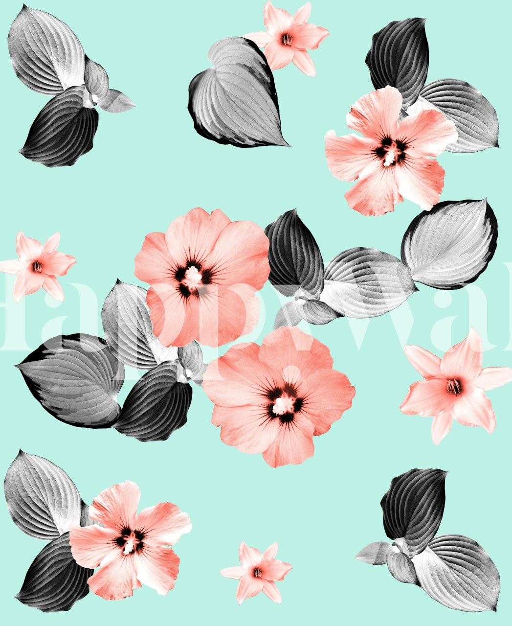 Korallen und graue Blumen auf einem pastellgrünen Hintergrundleinwand