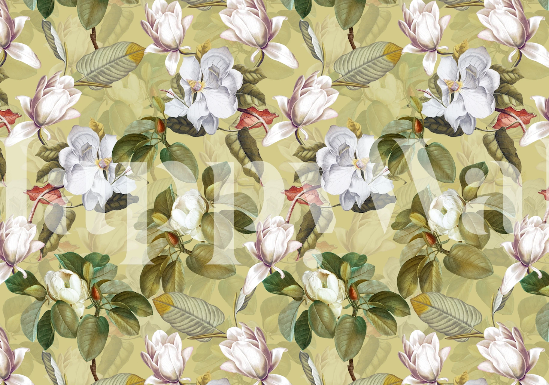 White and pink magnolia flowers with green leaves on a yellow background wallpaper