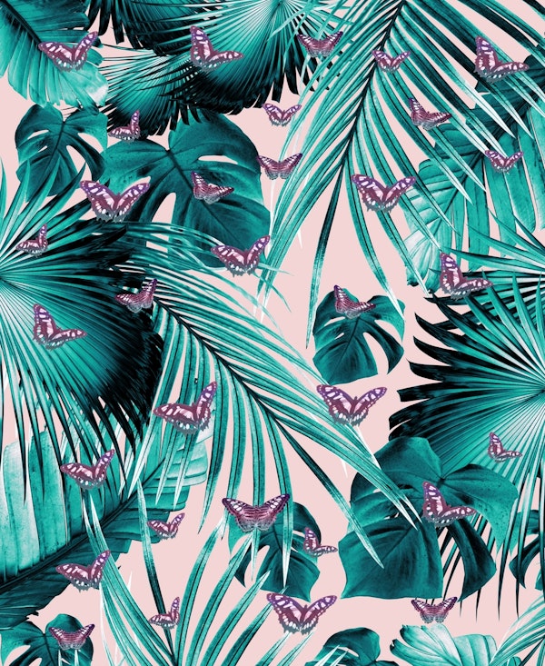 Tropical Unicorn Butterfly 1