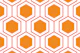 Hexagon abstract geometrical 8