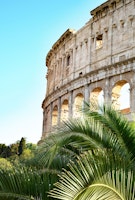 The Colosseum in Rome Palm 2 ταπετσαρία